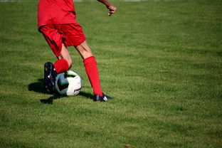 九游下载安装-篮球运动员心理素质测评体系构建，篮球运动员心理素质的重要性