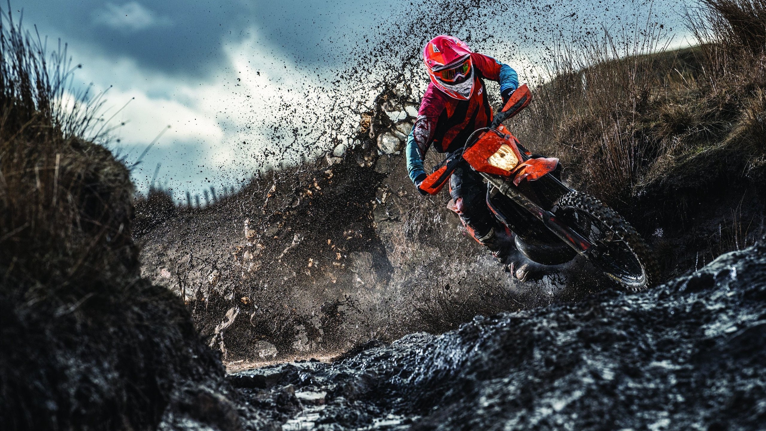 杰克·阿莱克西完美入水点燃现场氛围,杰克莱斯